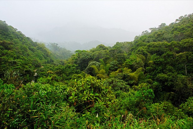 ecuador news brief