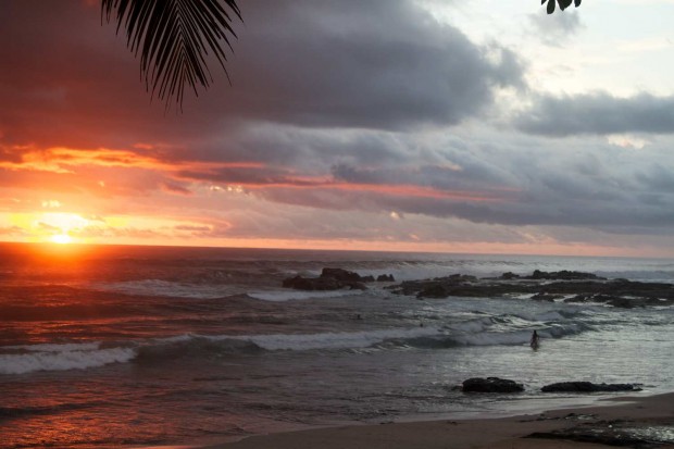 nosara costa rica