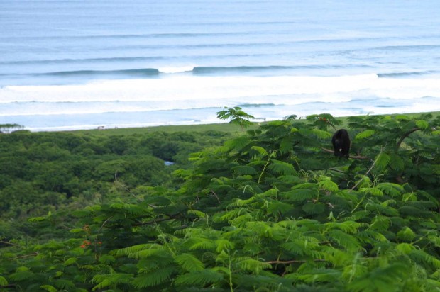 nosara costa rica