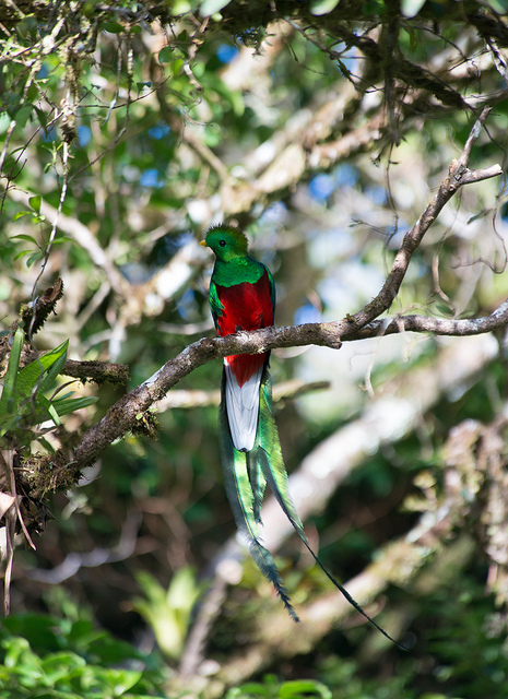 central america bucket list