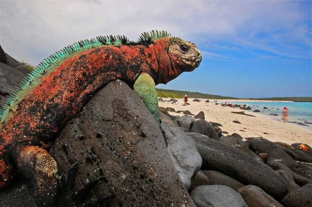 central america bucket list