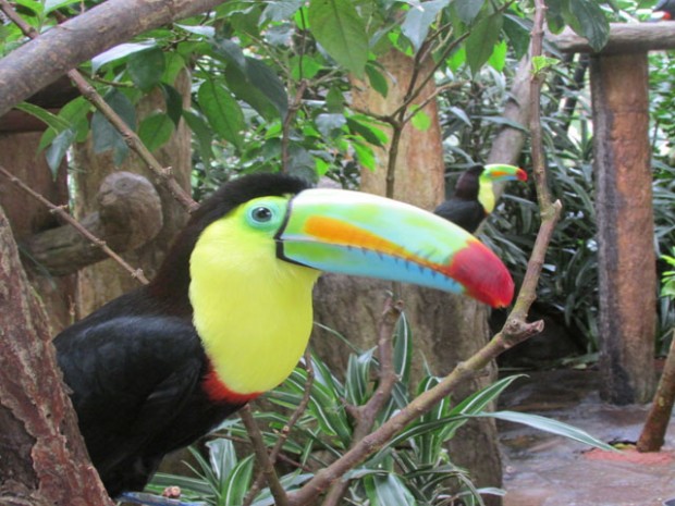 Central America Bucket List