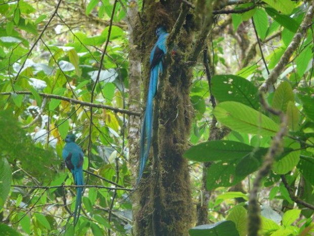best central america hikes