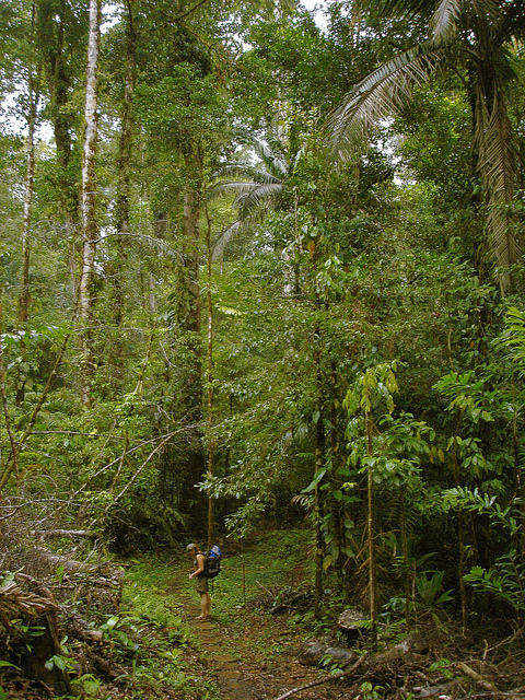 best central america hikes