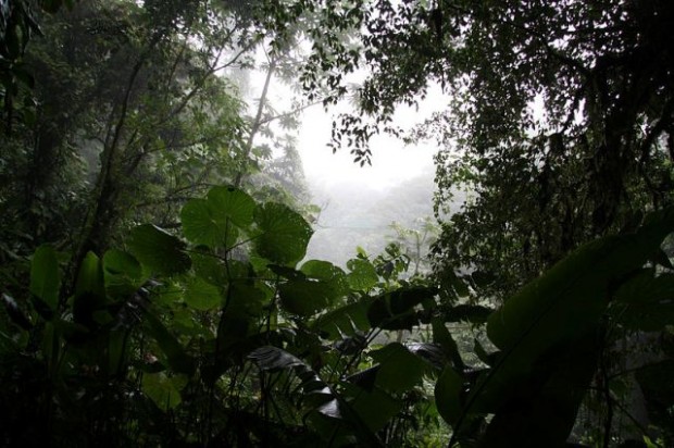 Creative Commons Best Central America Hikes