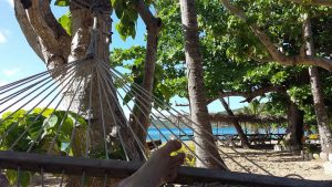 expat jobs