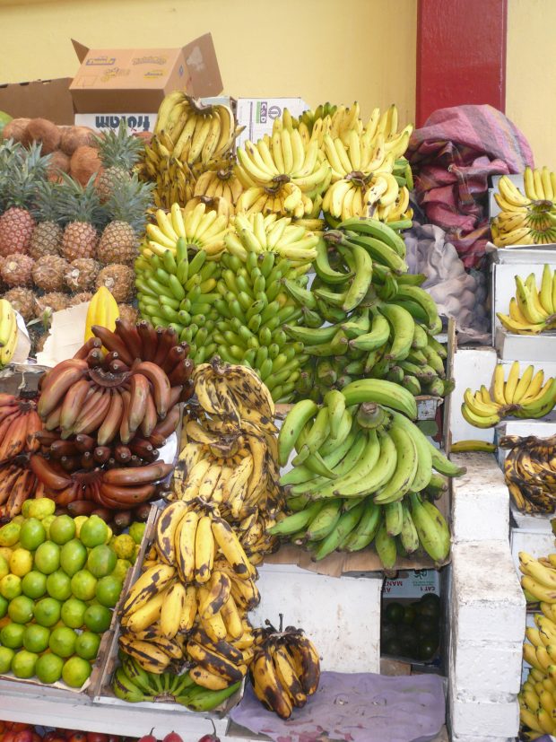 things about Ecuador
